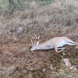 Meet your Posher, Joshua